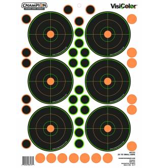 Champion Visicolor 25 Yd Small Bore Target 5 Pack w/90 pasters, Card