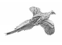 Pewter Pin No.1 Pheasant